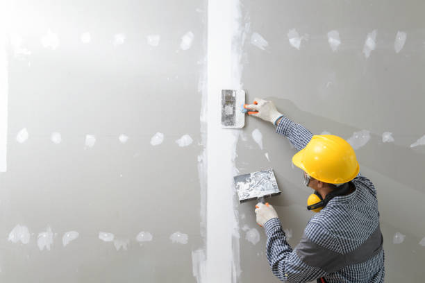 Best Drywall Installation  in Third Lake, IL